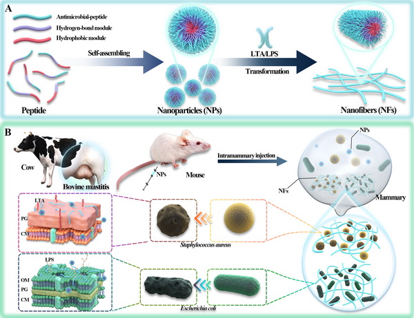 Enzyme-Resistant.jpg