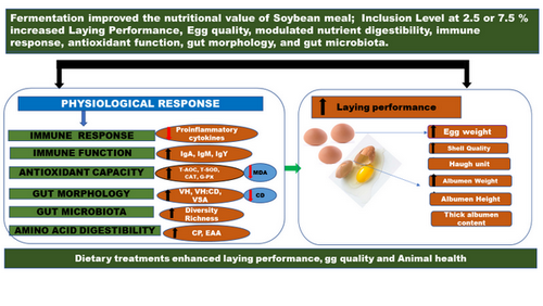 Fermented Soybean Meal-2.png