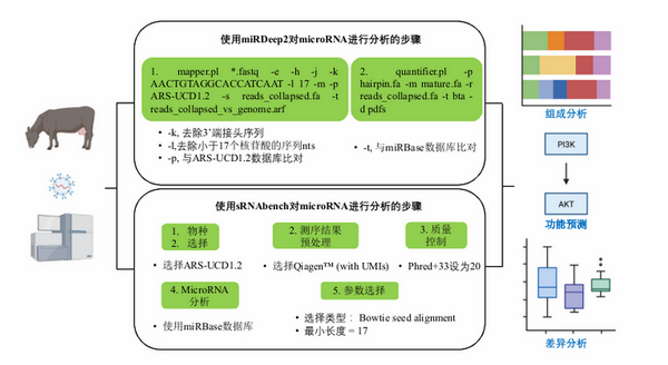 牛初乳-所网正文.png