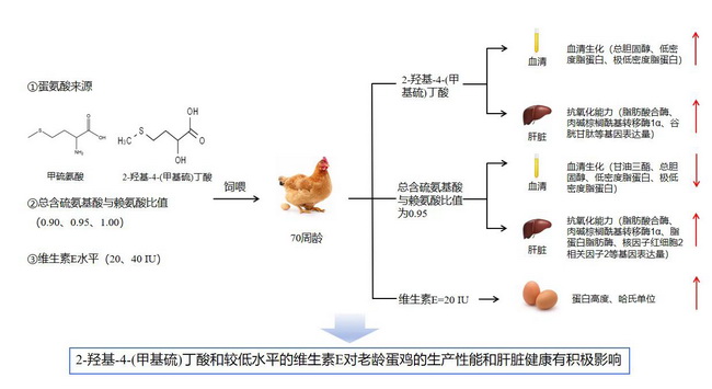 蛋氨酸-所网.jpg