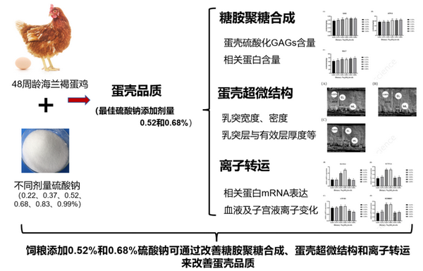 硫酸钠-所网.png