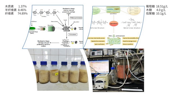 16 小麦秸秆糖.jpg