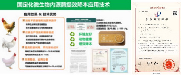 33 微生物内源酶.jpg