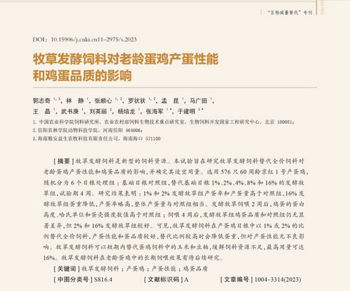 12 老龄蛋鸡专用牧草.jpg