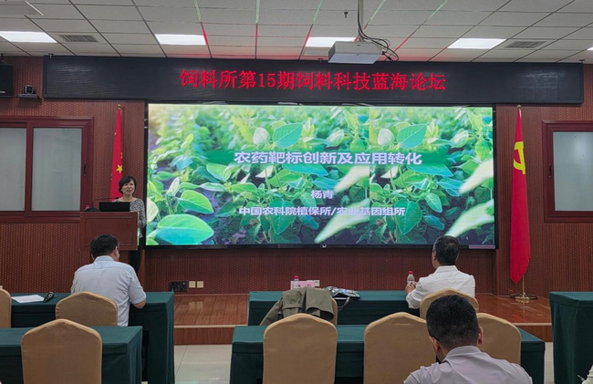 蓝海论坛-所网.png